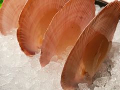 -Mr·Fish鱼鲜生海鲜放题(银泰in99店)