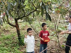 -青城甲(青城山店)