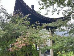 -龙井村