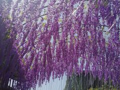 -茅山东方盐湖城景区