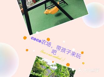 这个夏天种菜coco农场，带孩子一起来玩吧