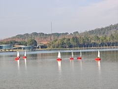 -上海月湖雕塑公园