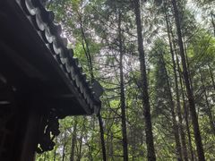 -萨尔浒风景区