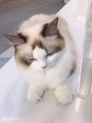 -元一肌肤管理中心