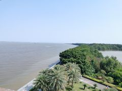 -大湾区中央湿地公园