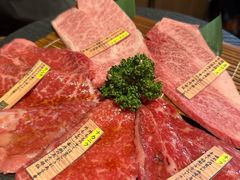 -俺的焼肉(銀座9丁目店)