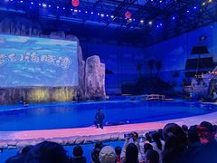 -华夏文旅海洋公园