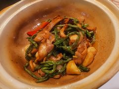 砂锅虾酱长豆角-金鼎轩(亚运村店)
