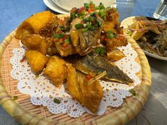 -渔顺生·顺德鱼生·粥底火锅·桑拿鸡(渔人码头店)