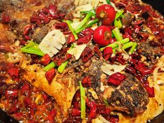 -老板恋上鱼(恒隆广场店)