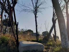 -东梓关景区村庄