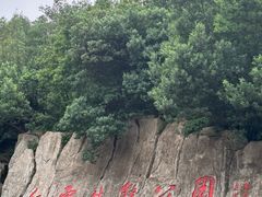 -长虫山生态公园风景林