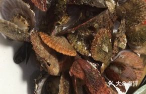 Steamed Scallops