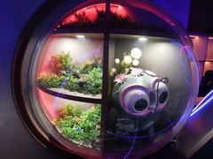 -首钢一高炉·SoReal科幻乐园