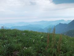 -白草畔自然风景区