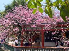 -宝墨园景区