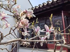 -耦园