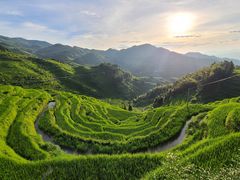 -紫鹊界梯田景区