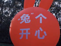-同里国家湿地公园