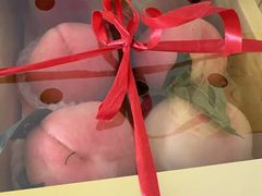 -南汇水蜜桃采摘(大团店)