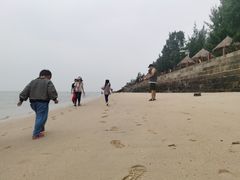 -北海金海湾红树林生态旅游区