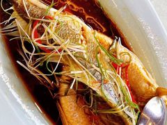 -渔娘渔家丹东海鲜(东直门店)