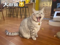 -H立方实景剧情密室(天河旗舰店)