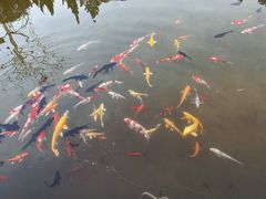 -西安华清御汤酒店