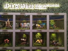 -芸山季·云南山珍菌火锅(南翔印象城MEGA店)