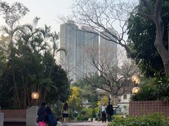 -九龙公园