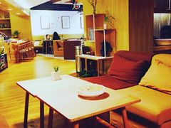 iphone_upload_pic-柴务处·柴犬主题狗咖