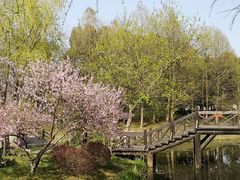 -尚贤河湿地