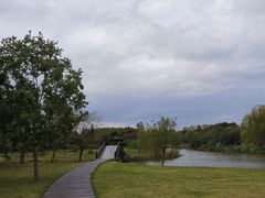 -南湖湿地公园