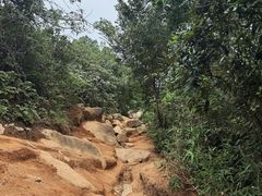 -灵岩山风景区