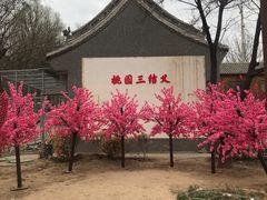 -貂蝉故里故园(傅山苑)