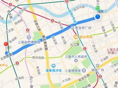 -北京王府井烤鸭(泰兴店)