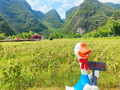 -靖西鹅泉风景区