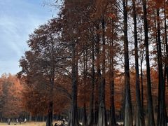 -四明湖