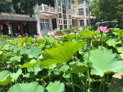 -龚家花园农家乐休闲别墅