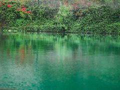 -靖西鹅泉风景区