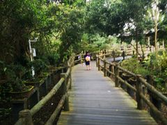 -海南热带野生动植物园