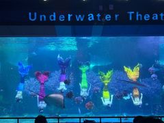 -泉城欧乐堡海洋极地世界