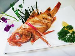 盐烤金吉鱼-彩葉·樱花屋日本料理(动物园店)