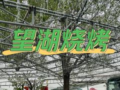-望湖烤鱼