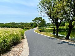 -良渚古城遗址公园