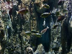 -临沂极地海洋王国