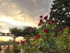 -黄兴公园
