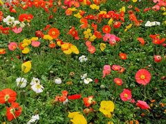 -IGenie爱精灵·万兆电竞酒店(成都火车南站凯德天府店)