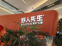 -野人先生现做冰淇淋(北京王府井东方新天地店)