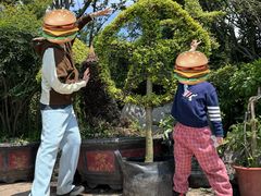 -龙大花卉苗木市场